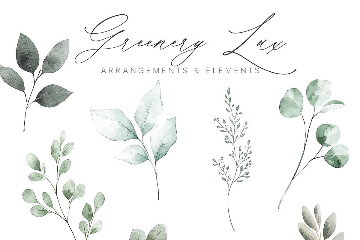 New! Timeless Library Edition, a Graphic by Isabelle Salem (Photo 66 of 211)