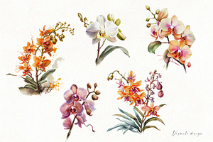 Watercolor Orchid Flowers