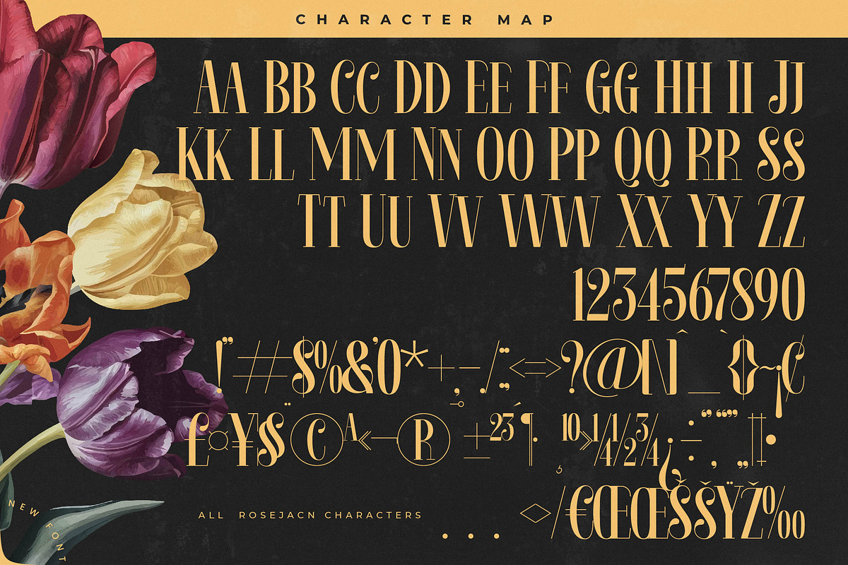 Rosejacn Modern Display Serif, a Serif Font by timelesstype.co (Photo 18 of 20)