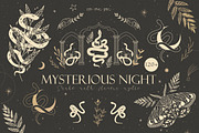 120+ Mysterious night, an Animal Illustration by Chikovnaya (Thumbnail 1 of 11)