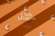 California Palms Fonts & Graphics, a Serif Font by Nicky Laatz (Thumbnail 21 of 48)