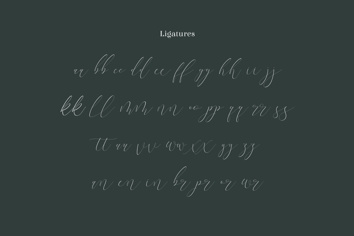 Terranika Typeface preview 6