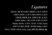 Ceciliany Serif Font Family, a Serif Font by Ryul Davidson (Thumbnail 14 of 25)
