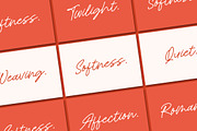 Royal Spark - Handwritten Ink Font, a Script Font by Letterena Studios Script (Thumbnail 14 of 20)