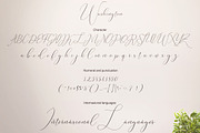 Washington Calligraphy Modern, a Script Font by Teweka (Thumbnail 19 of 19)