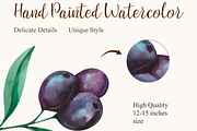 Olive Watercolor Clipart PNG, a Decorative Illustration by PatternPalette (Thumbnail 5 of 8)