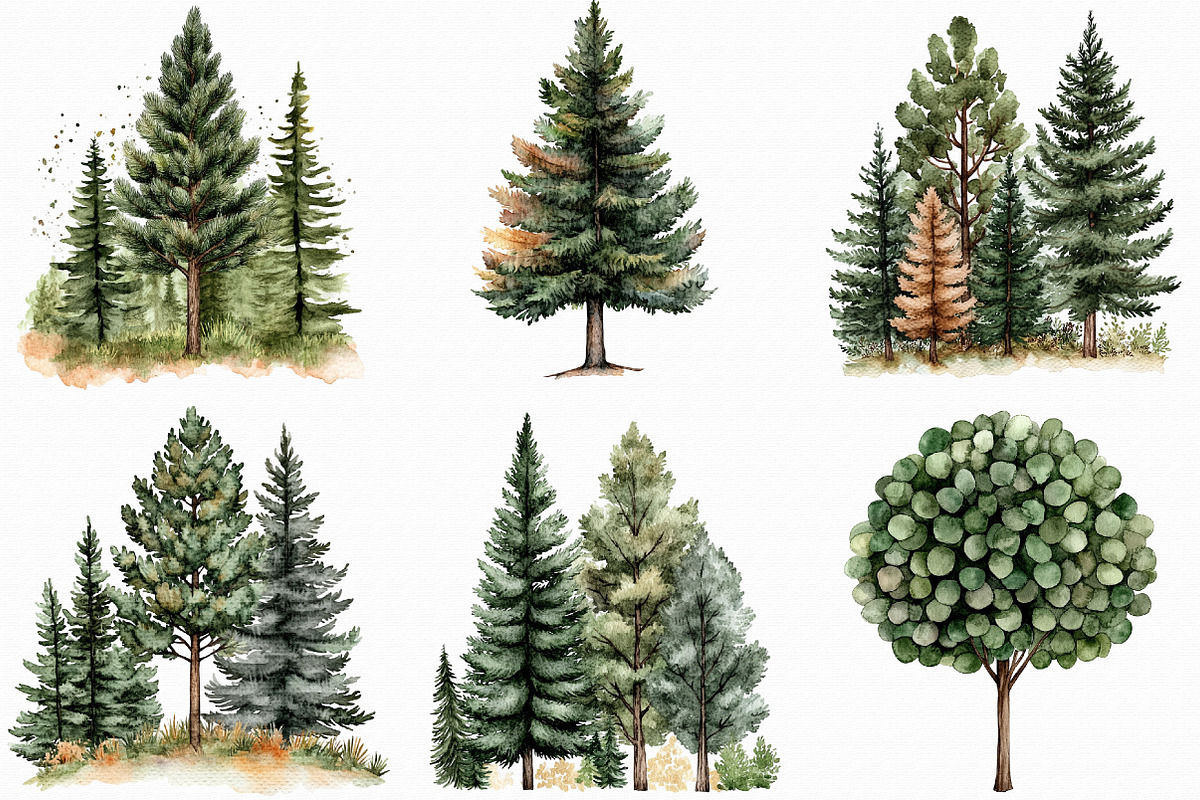 Watercolor Tree Clipart Bundle, an Illustration by Libby Wishes (Photo 2 of 6)