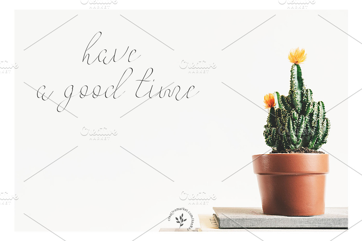 Colibri preview 3