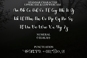 Holiday, a Handwritten Font by FreshTypeINK (Thumbnail 8 of 8)