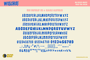 PM Willshire Mid-Century Style Font, a Sans Serif Font by Paper Moon Graphic Supply (Thumbnail 3 of 9)