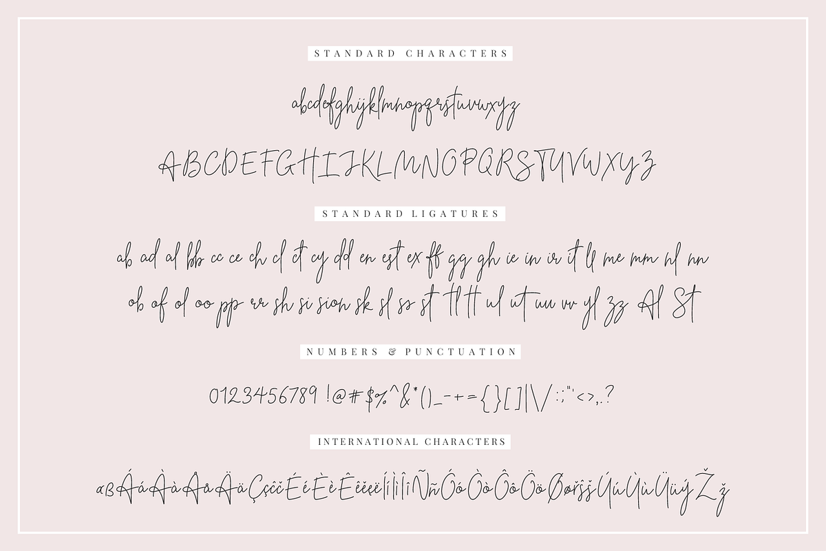 Beauty Notes Script + Illustrations preview 2