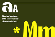 MunkyTypie - Modern Sans Serif Font, a Serif Font by Sanskertype Studio (Thumbnail 4 of 9)