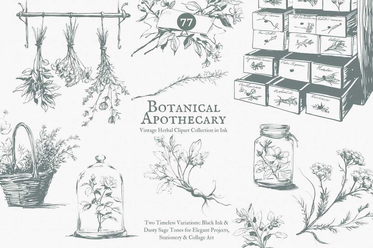 apothecary clipart vintage collectio, a Decorative Illustration by Patishop Art (Photo 2 of 10)