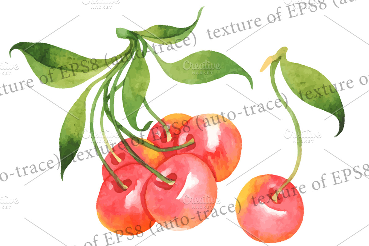 Summer fruits, a Food Illustration by Evgeniia Zagreeva (Photo 3 of 3)