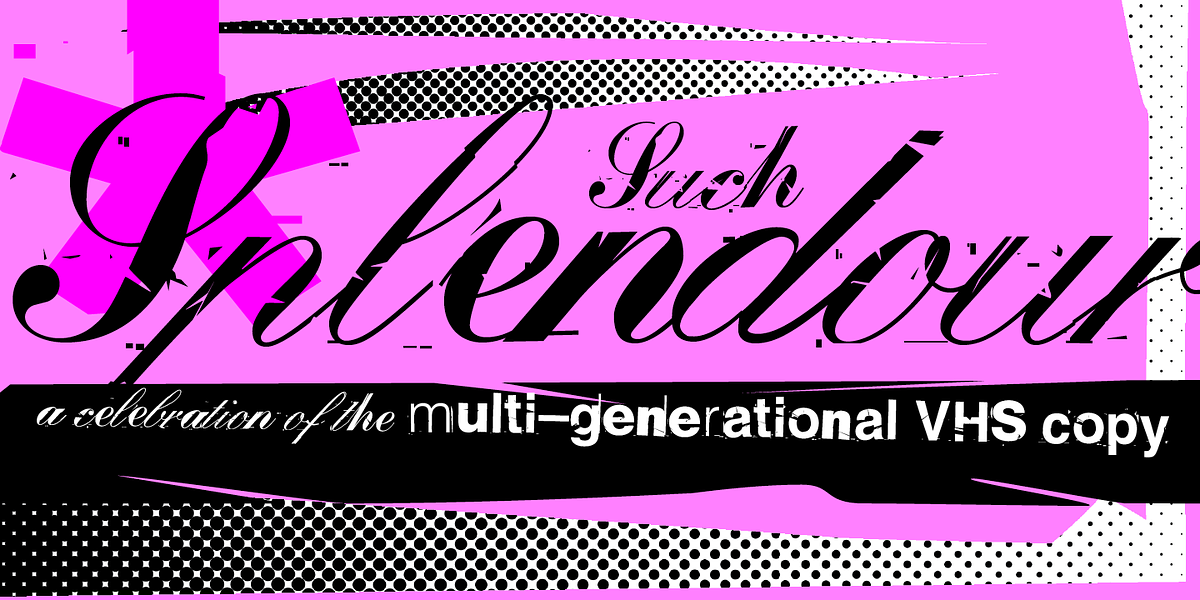 False Idol, a Script Font by Barnbrook Fonts (Photo 4 of 5)