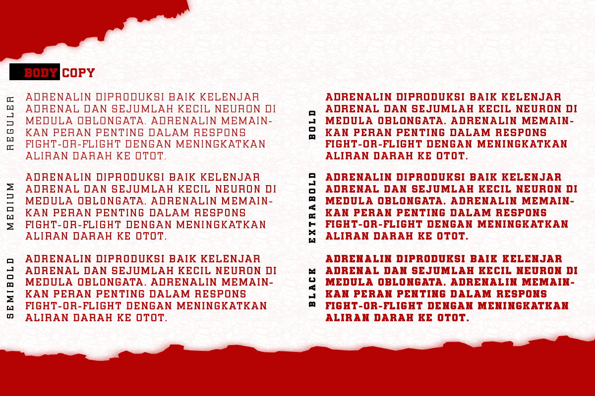 Gamarasa, a Slab Serif Font by Differentialtype (Photo 5 of 10)
