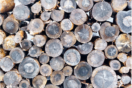 Stack of Firewood. Preparation of, a Nature Photo by darksoul72