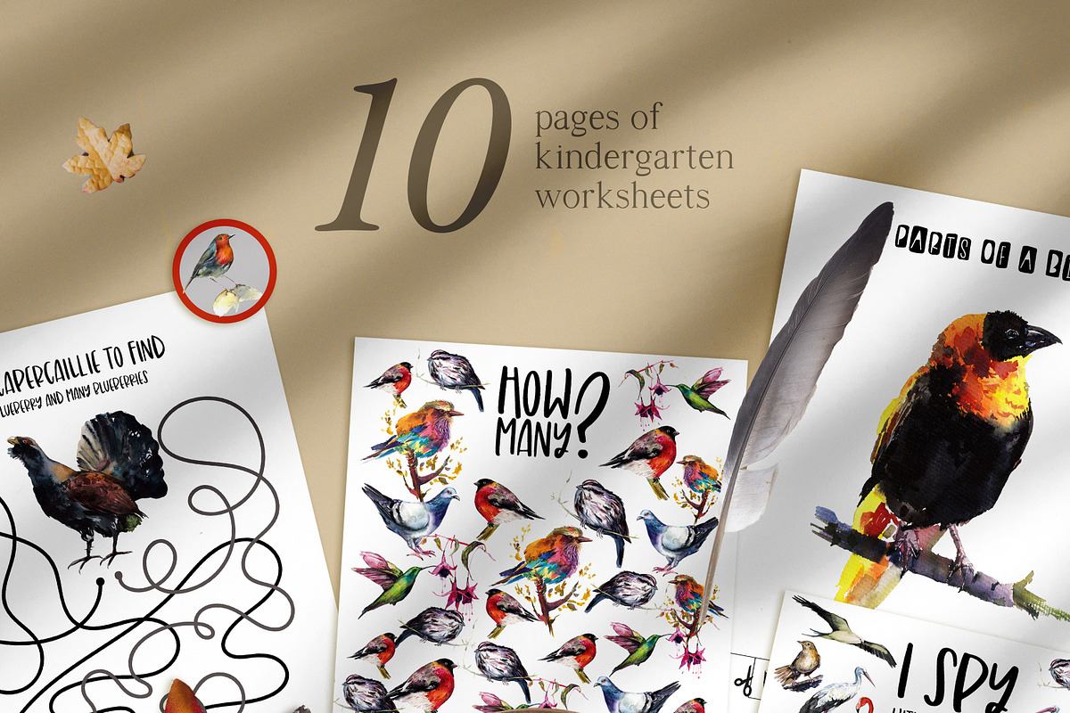 Birds activities for kids, an Animal Illustration by ArtSpotVeronika (Photo 3 of 6)