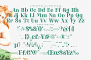 Royals Mugtile Modern Serif, a Serif Font by timelesstype.co (Thumbnail 18 of 20)