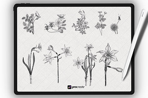 Procreate Floral Brushset Botanice