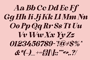Shiny Black - Elegant Serif Typeface, a Serif Font by MaikoHatta (Thumbnail 7 of 9)
