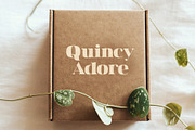 Junie | A High-Contrast Serif Font, a Serif Font by Blythe Green (Thumbnail 11 of 12)