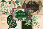 Vintage Bundle – 60% Off! – 21 Packs, an Object Graphic by The Object Atlas (Thumbnail 18 of 26)