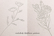 Botanical Line Art Illustrations, a Decorative Illustration by youtoview (Thumbnail 15 of 15)