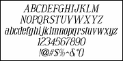 Soup and Salad JNL, a Serif Font by Jeff Levine Fonts (Thumbnail 5 of 5)