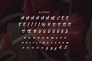 Lubirens, a Script Font by GlottaTypeface (Thumbnail 7 of 8)