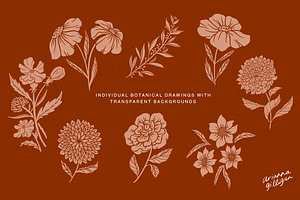 Hand-Drawn Floral Pack