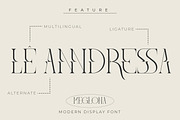 Meglona Modern and Stylish Serif, a Serif Font by Storytype Studio (Thumbnail 8 of 12)