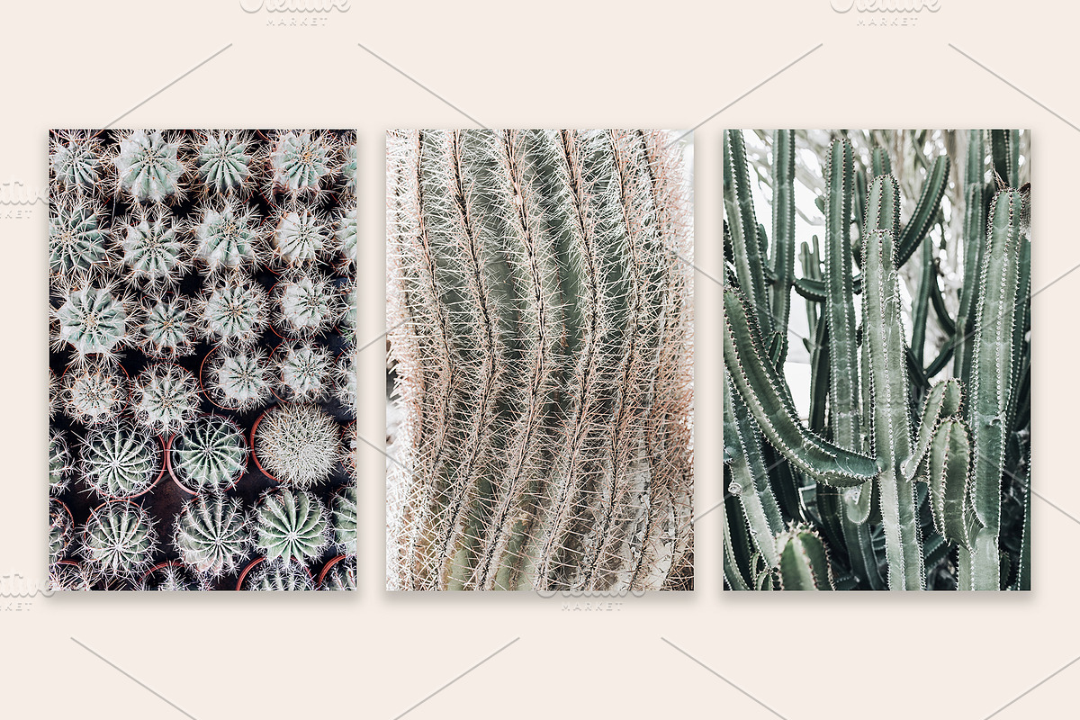 Lifestyle Bundles Collection 3, a Photo by Floral Deco (Photo 36 of 48)