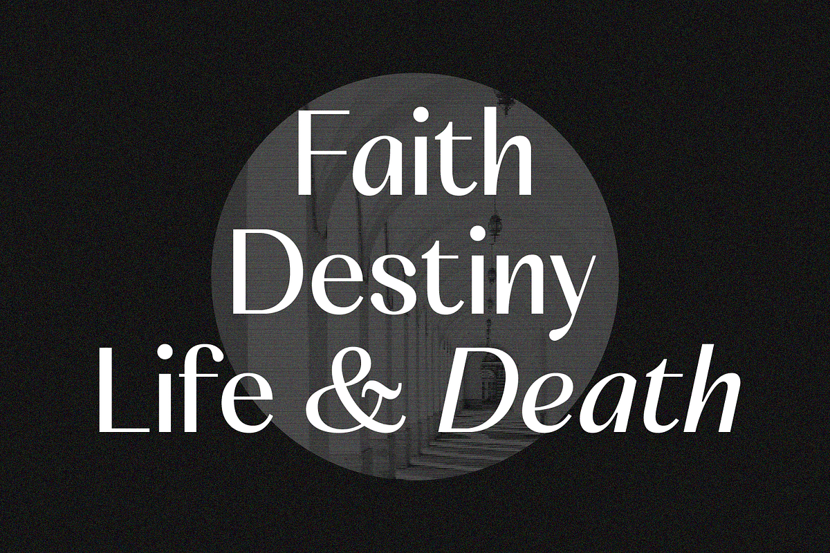 SS Canelope - Timeless Sans Font, a Sans Serif Font by Typocracy Studio (Photo 6 of 10)