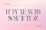 Meal - Serif Display Family, a Serif Font by Holyline Design (Thumbnail 6 of 15)