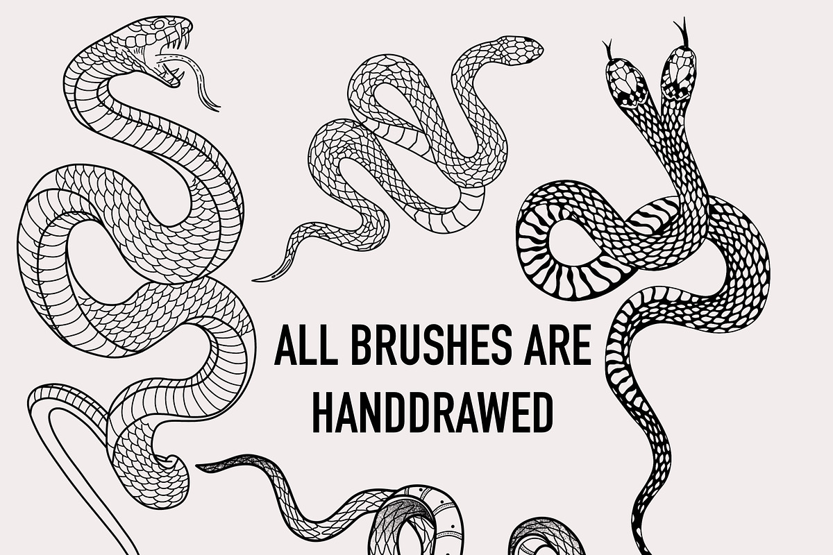 30 Procreate Snake Stamps, a Brush Add-On by Nuclear Brushes (Photo 9 of 10)
