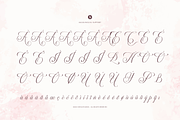Palmeira Benvello Calligraphy, a Script Font by Denustudios (Thumbnail 12 of 12)
