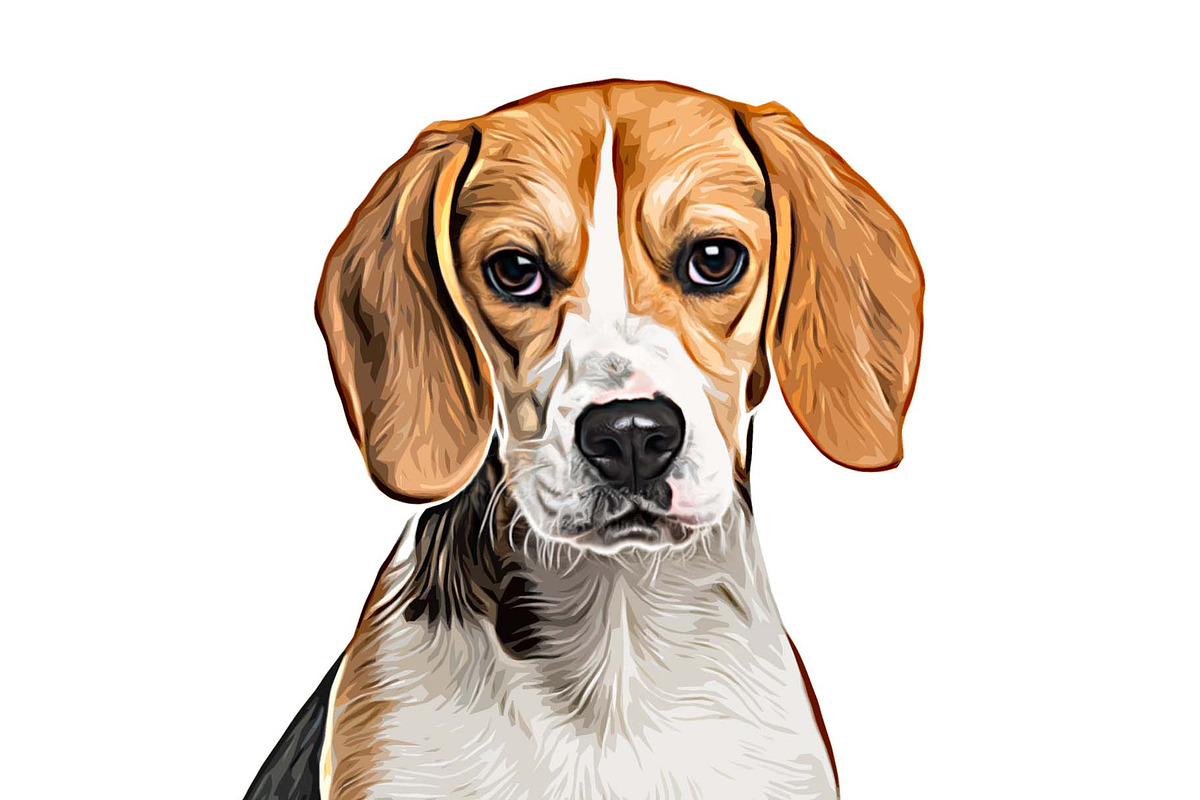 Pet Abstract Paint Photoshop Action, an Action Add-On by MRI STUDIO (Photo 5 of 9)