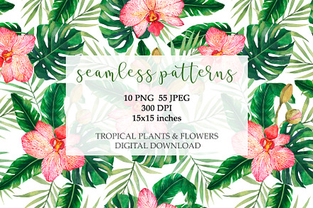 Tropical Patterns Template 15x15inch, a Pattern Graphic by PatternPalette