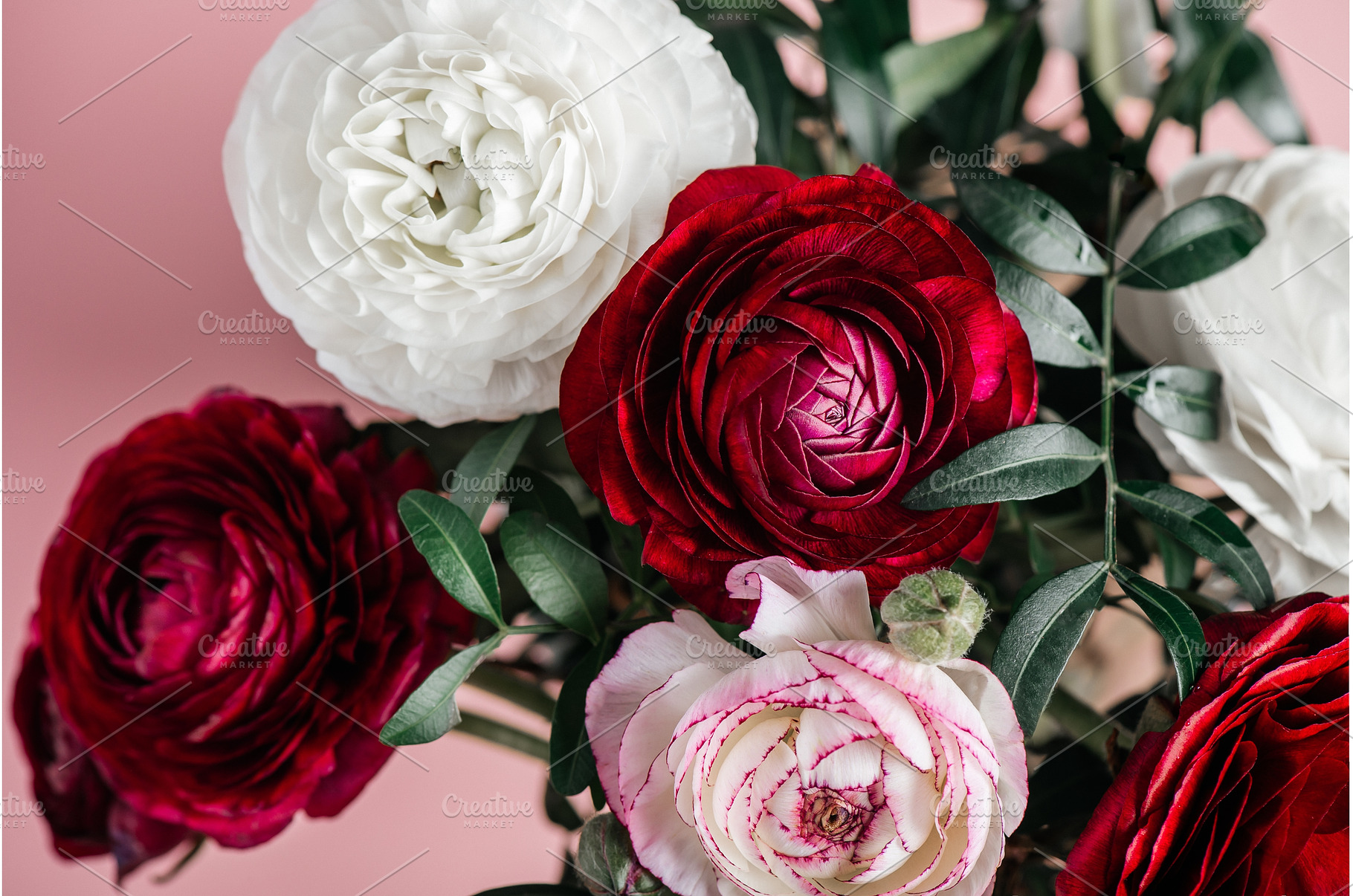Floral arrangments of tender, a Nature Photo by MAnuta