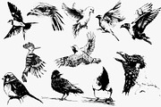 Birds set vector. Silhouette images, an Animal Illustration by AnastasiyaOleynik (Thumbnail 6 of 8)