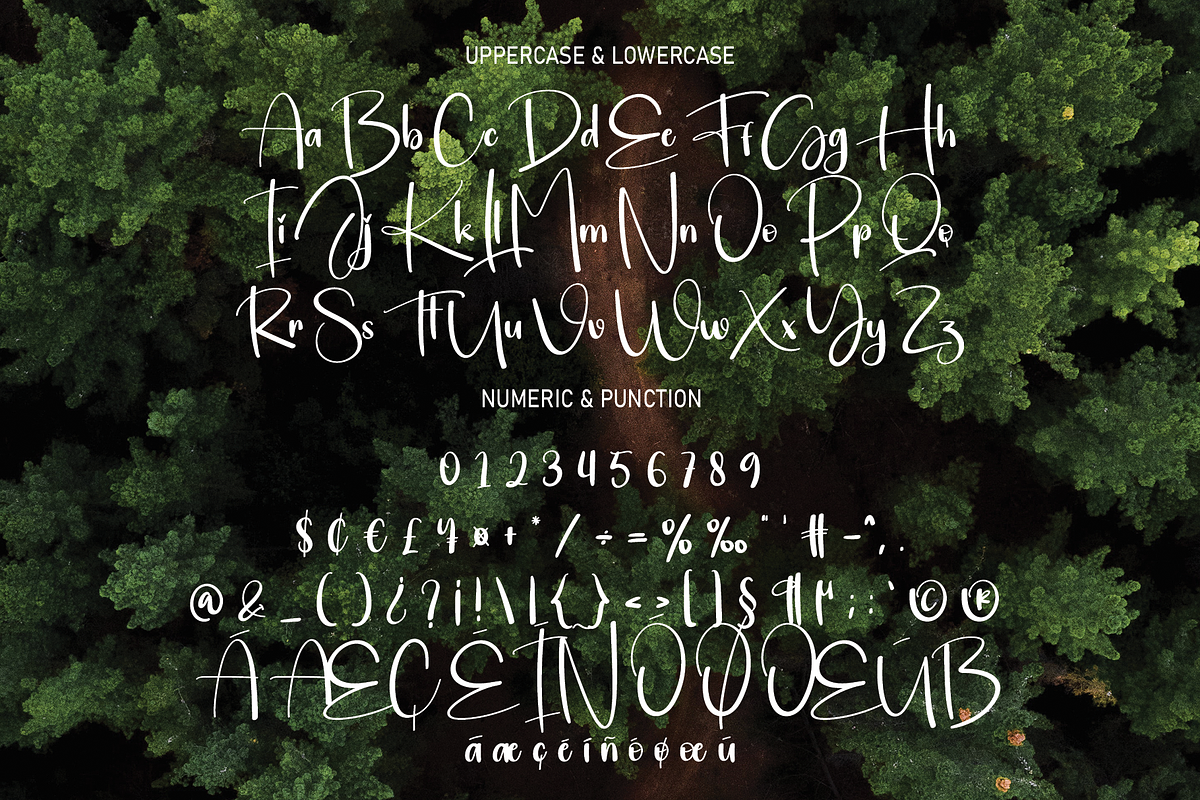 Woodland | Script Font, a Script Font by Scratchones (Photo 7 of 8)