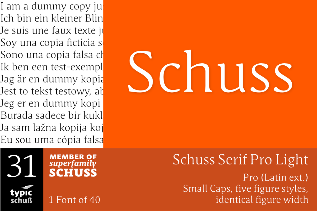 SchussSerifProLight No.31 (1 Font)