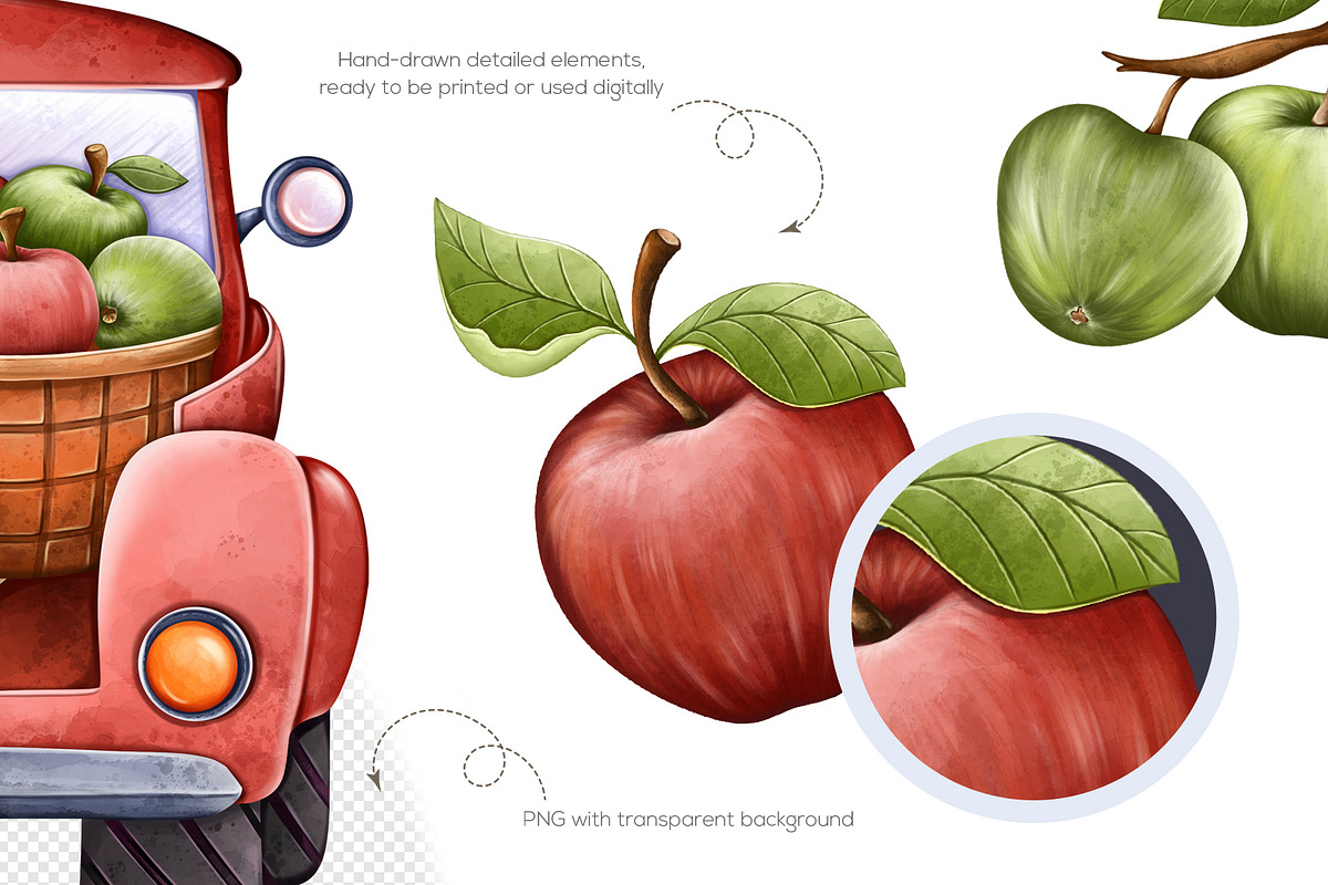 Watercolor Apple Clipart PNG Set (36, a Food Illustration by Mespilia (Photo 2 of 5)