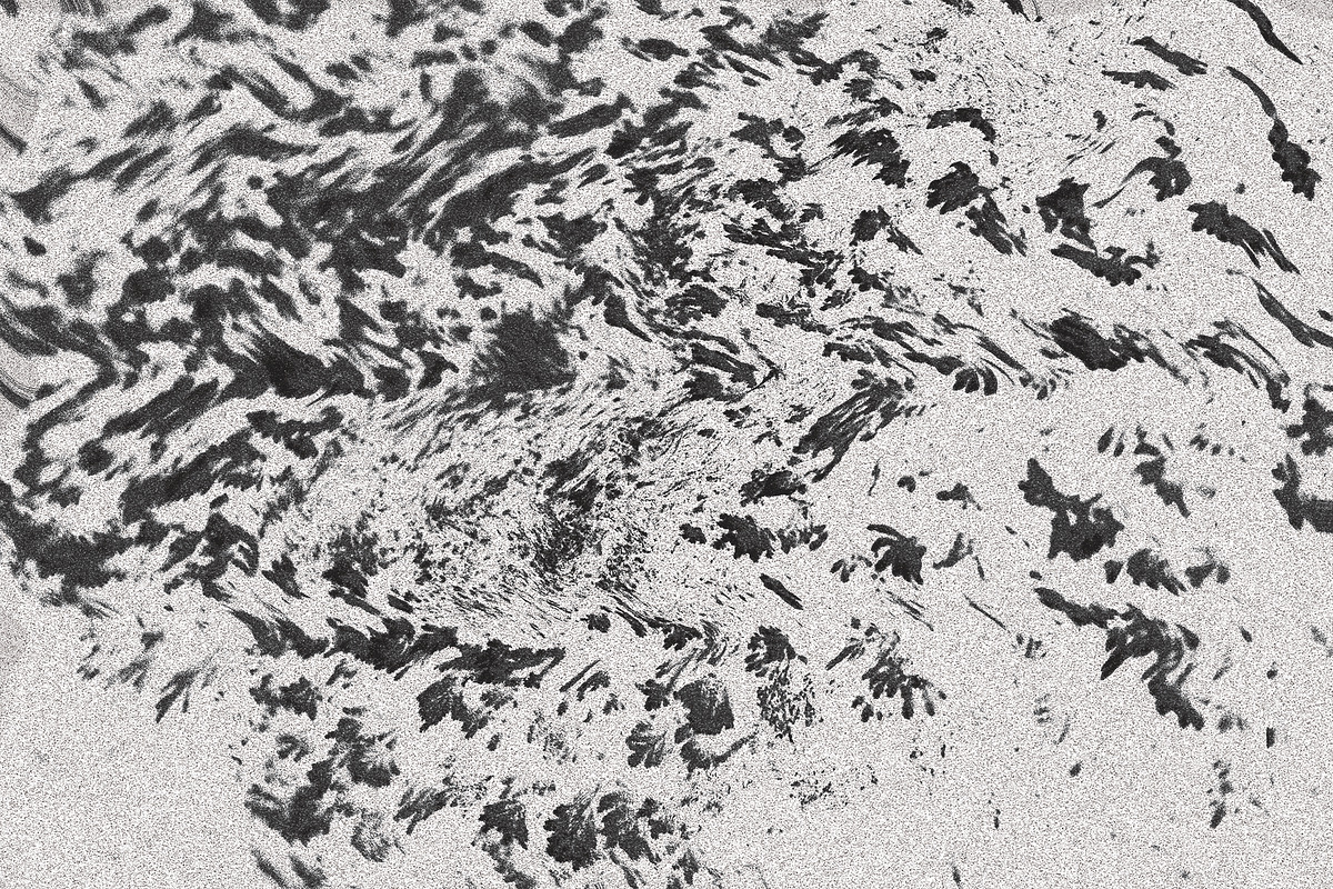 Twisted by Nature Vol 1, a Texture Graphic by Jennifer Lauren Creative (Photo 17 of 19)