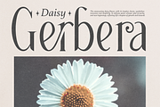 Grading - Modern Ligature Serif, a Serif Font by Pandeka Studio (Thumbnail 6 of 10)