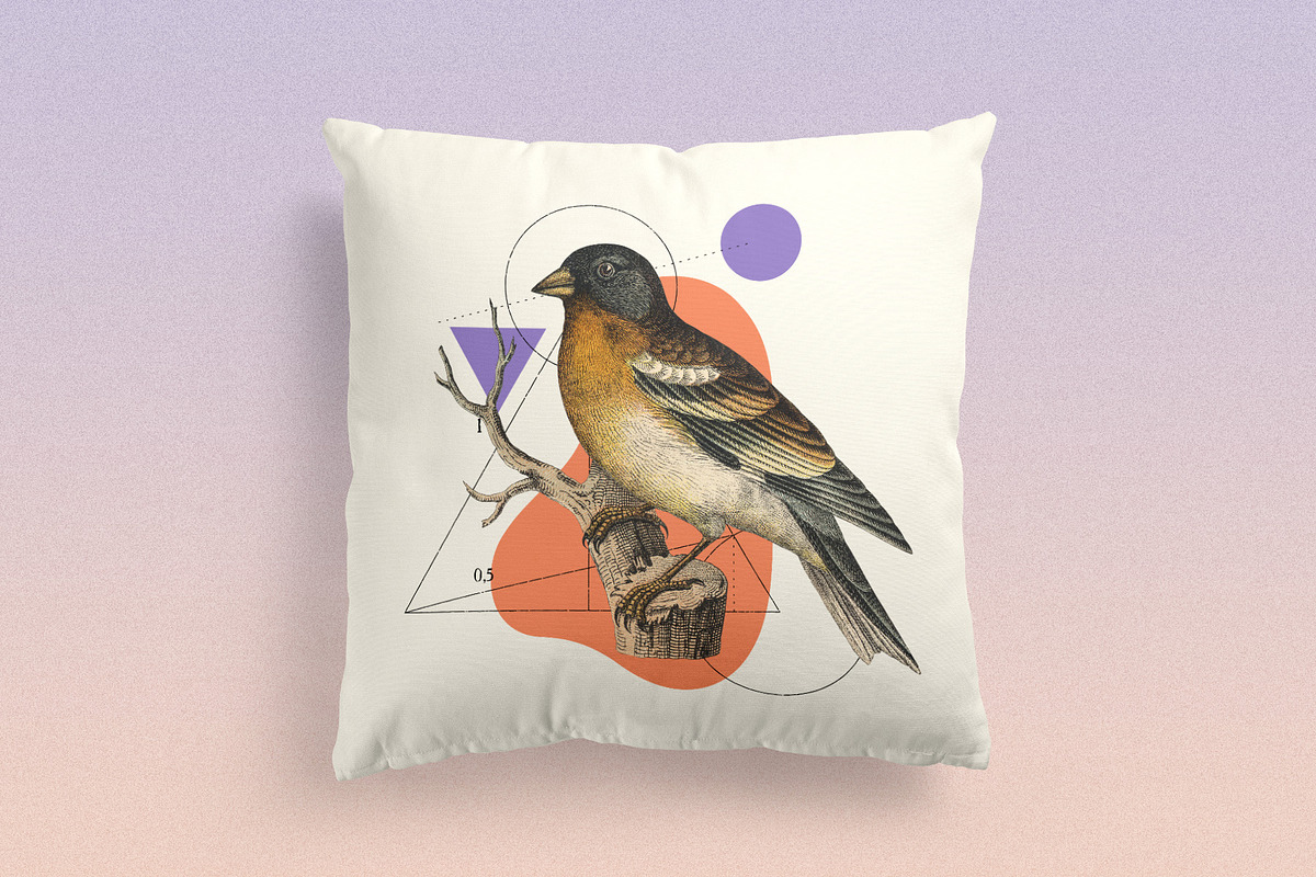 122 Vintage Illustrations of Birds, an Animal Illustration by Graphic Goods (Photo 14 of 14)