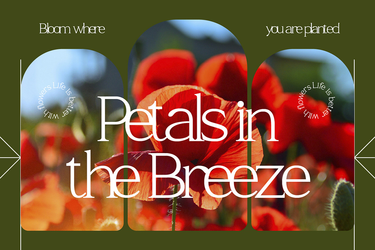 Nadaria - Creative Serif Font, a Serif Font by Vadovastd (Photo 3 of 7)
