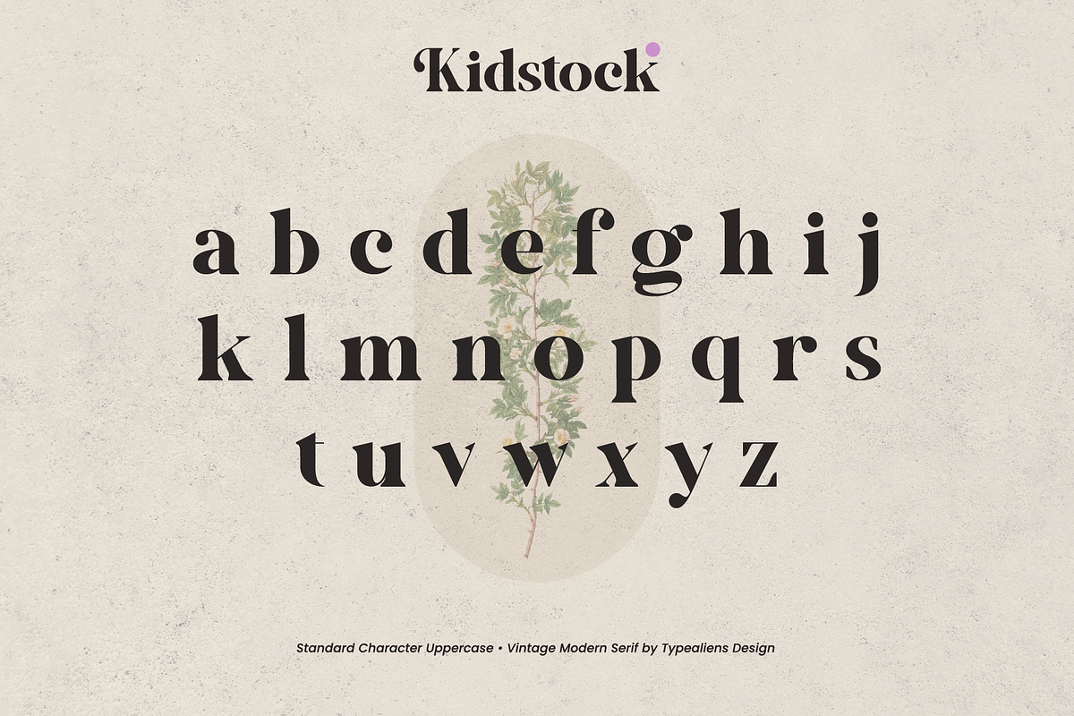 Kidstock, a Serif Font by ilhamtaro (Photo 7 of 11)