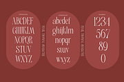 Pearl Tropical, a Serif Font by zaaintype (Thumbnail 8 of 15)